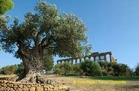 Agrigento | Sicily