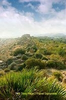 Agrigento | Sicily