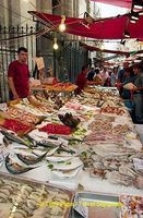 Palermo Market | Sicily