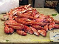 Palermo Market | Sicily