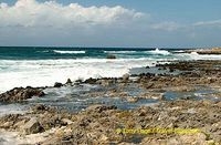 The coastline at Sferracavallo