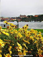 City Hall, Stockholm