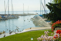 Lac Leman Road to Geneva