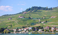 Lac Leman cruise to Montreux