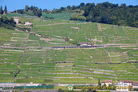 Lac Leman cruise to Montreux