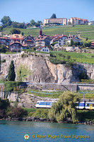 Lac Leman cruise to Montreux