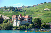 Lac Leman cruise to Montreux