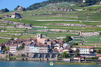 Lac Leman cruise to Montreux