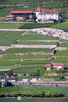 Lac Leman cruise to Montreux