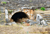 Contestants entrance to Stadium