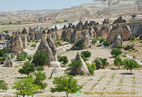 Impressive group of fairy chimneys