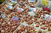 The Old Town and Egyptian (Spice) Market, Istanbul, Turkey