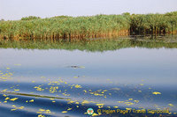 Fisherman's Island, Kherson