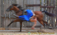 Cossack Horse Show