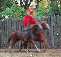 Cossack Horse Show