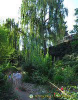 Chekhov's House, Yalta