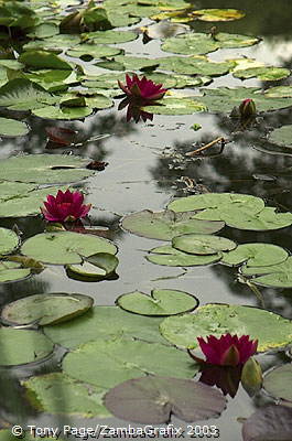 Giverny - France