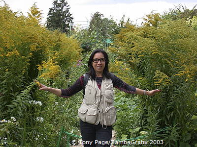 Giverny - France