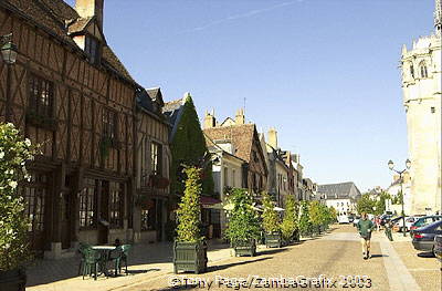 Chateau Amboise - Loire Valley - Chateaux Country - France