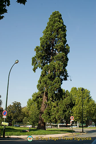 Bois de Boulogne, Paris