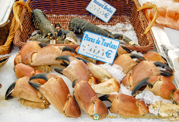 Pinces de tourteau - crab claws