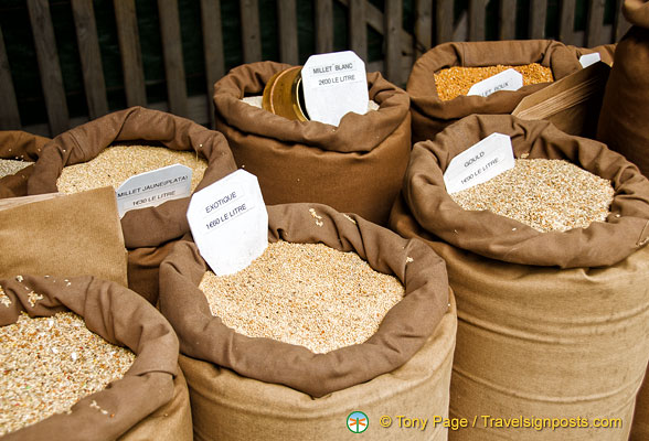 Various types of bird seeds, including an 'exotique' blend