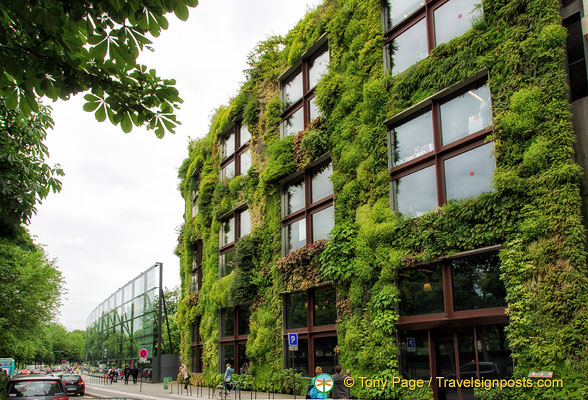 A vertical garden on the facade of the Quai Branly Museum