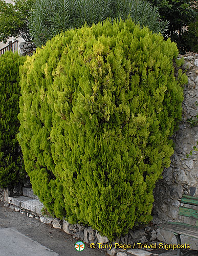 St.-Paul de Vence