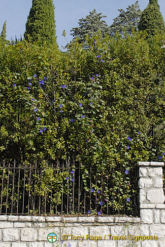 St.-Paul de Vence