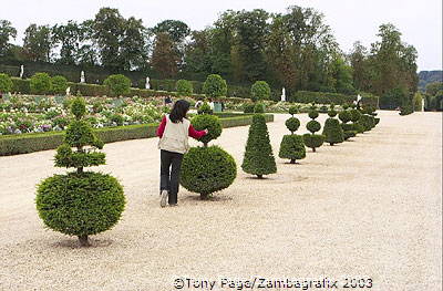 The Palace of Versailles