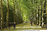 Grand avenue leading to Chateau Chenonceau [Chateaux Country - The Loire - France]