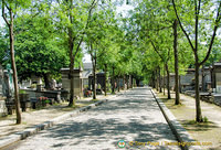 Tree-lined avenue of Père-Lachaise 