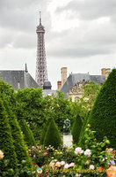 A view of the Eiffel Tower while admiring The Thinker