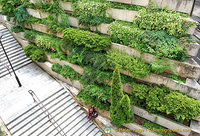 Vertical gardens, an increasingly common sight