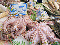 Fresh poulpe at Raspail market