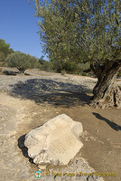 Pont du Gard aqueduct, Provence, France