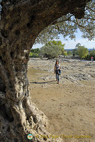 Pont du Gard aqueduct, Provence, France